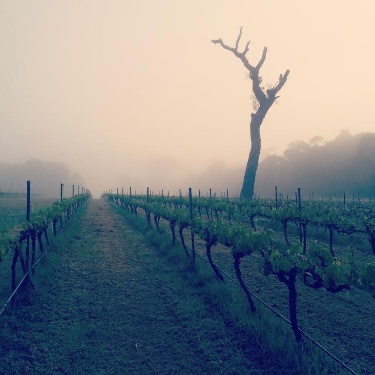 Island Brook Estate Winery And Chalets Margaret River Exteriér fotografie