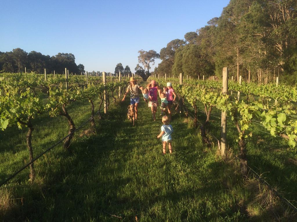 Island Brook Estate Winery And Chalets Margaret River Exteriér fotografie