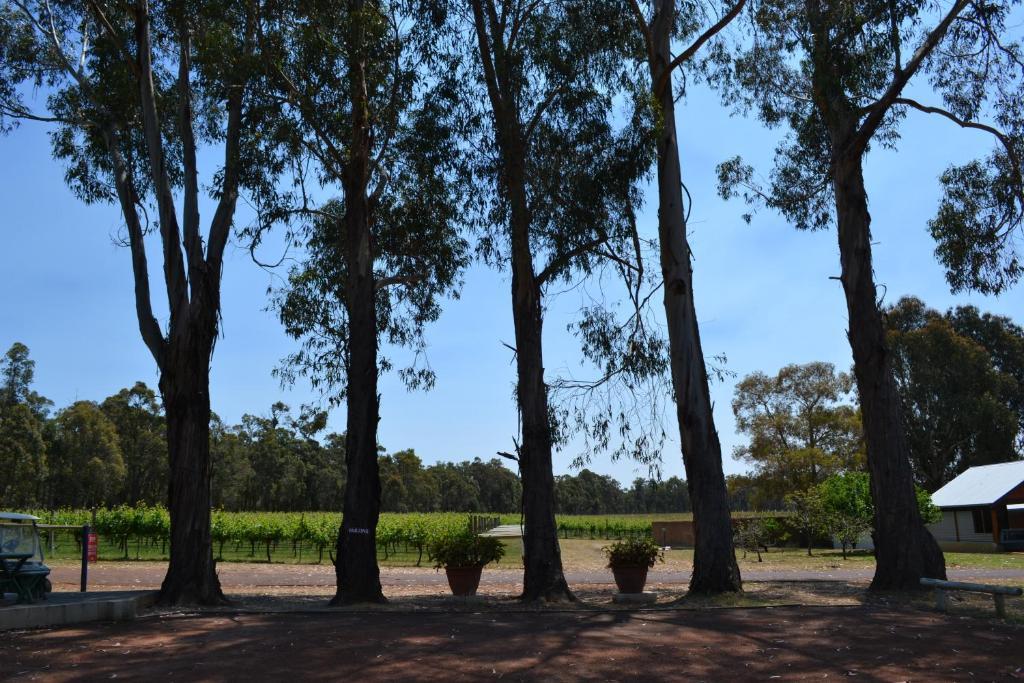 Island Brook Estate Winery And Chalets Margaret River Exteriér fotografie